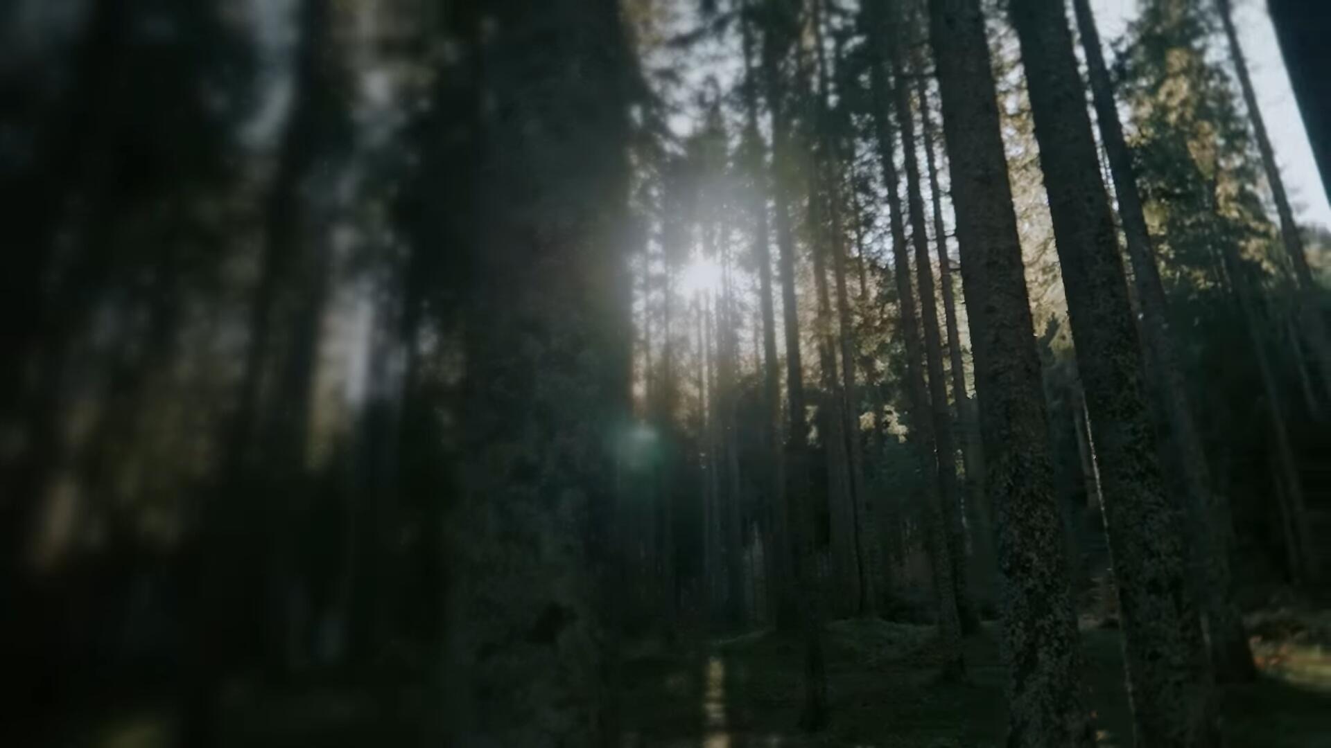 达芬奇预设:51个电影短片氛围剪辑淡入淡出镜头阴影转场插件 MotionVFX mTransition Fade DVR , 第9张-素材湾丨精选海外优质设计素材资源 达芬奇预设:51个电影短片氛围剪辑淡入淡出镜头阴影转场插件 MotionVFX mTransition Fade DVR , sucaiwan.com