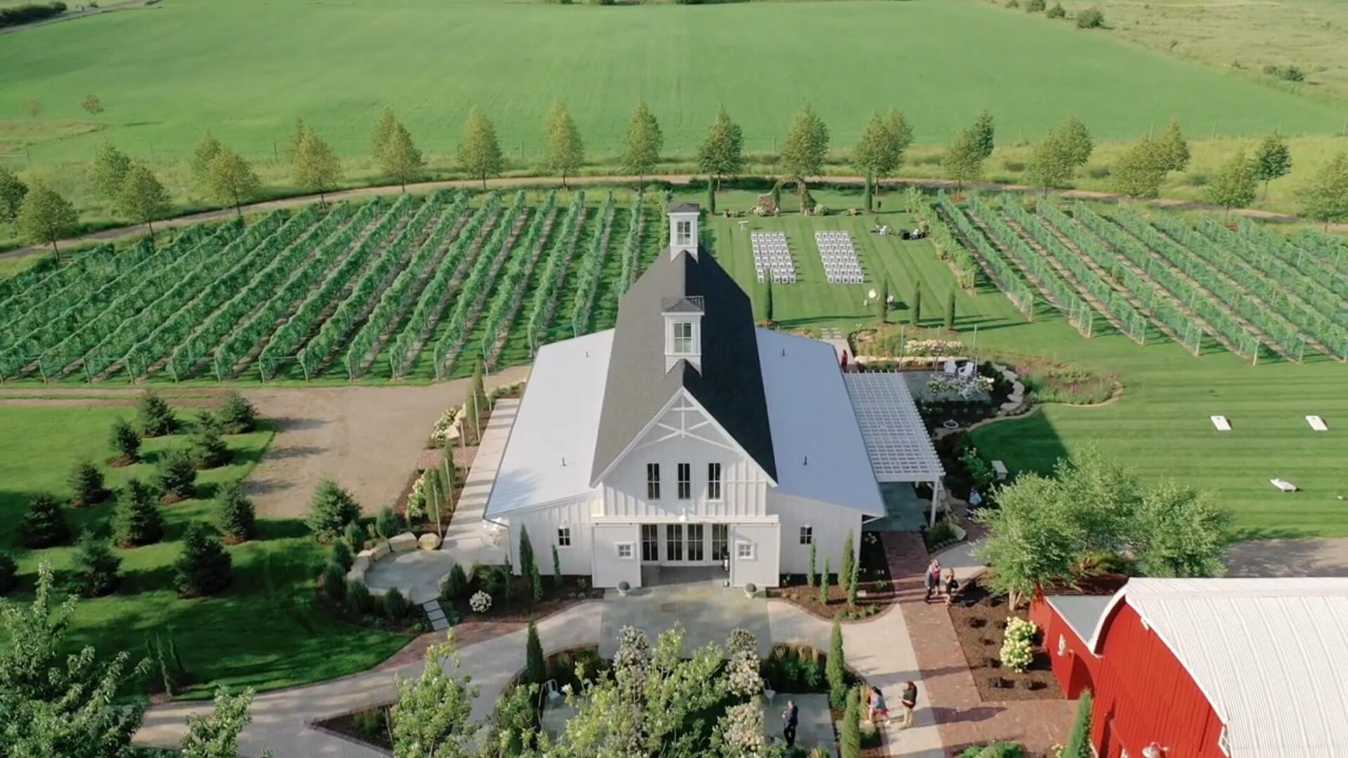 Goodlight Presets Lut Packs 12个全新婚礼摄影电影胶片色彩美感LUT调色预设 , 第7张-素材湾丨精选海外优质设计素材资源 Goodlight Presets Lut Packs 12个全新婚礼摄影电影胶片色彩美感LUT调色预设 , sucaiwan.com