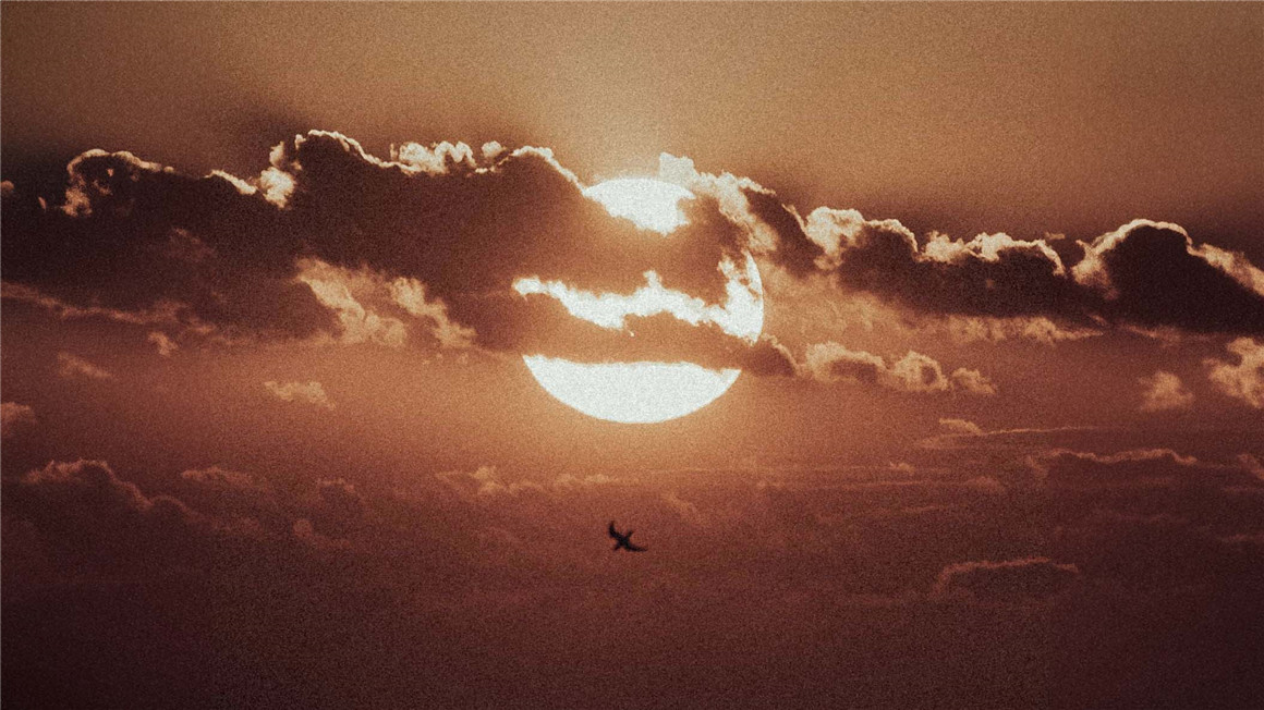 经典柔和色调电影胶片模拟颗粒纹理边框人文扫街LR调色预设 Envijon - Modern Classic Collection 插件预设 第2张-素材湾丨精选海外优质设计素材资源 经典柔和色调电影胶片模拟颗粒纹理边框人文扫街LR调色预设 Envijon - Modern Classic Collection 插件预设 sucaiwan.com