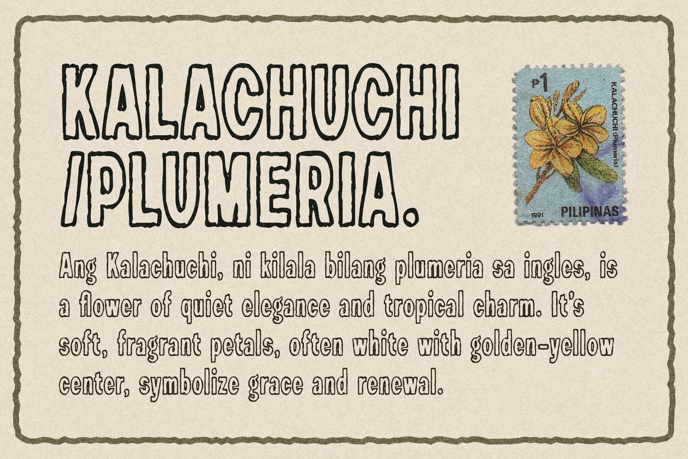 英文字体：复古乡村情绪风格外轮廓品牌封面标志海报设计字体包 Marustic - Vintage Rustic Outline Sans Font , sucaiwan.com