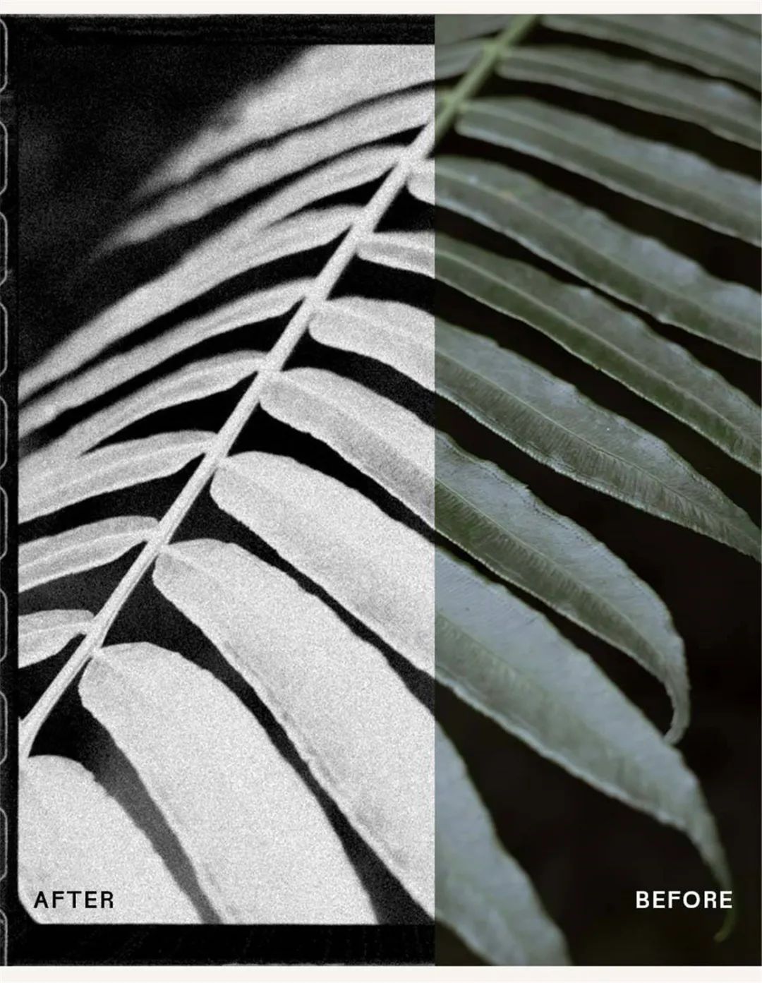 黑白色调情绪美学低像素氛围捕捉艺术摄影动态模糊效果Lightroom调色预设 Envijon. Black & White Photo Pack , 第10张-素材湾丨精选海外优质设计素材资源 黑白色调情绪美学低像素氛围捕捉艺术摄影动态模糊效果Lightroom调色预设 Envijon. Black & White Photo Pack , sucaiwan.com