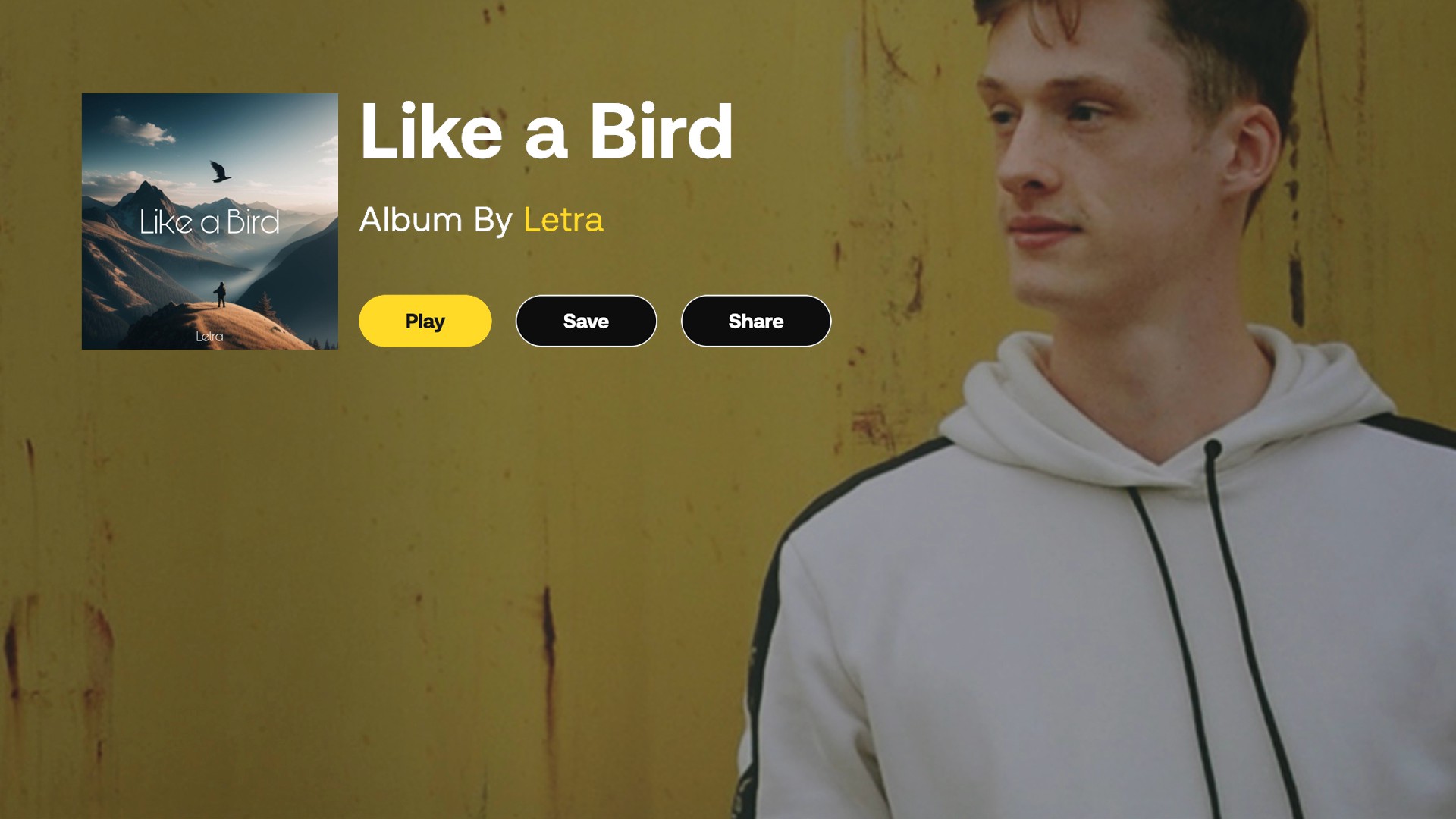 Artlist 2首史诗大气、振奋人心、电影氛围感、纪录片、旅拍、无人机航拍BGM背景音乐 Letra - Like a Bird 影视音频 第1张-素材湾丨精选海外优质设计素材资源 Artlist 2首史诗大气、振奋人心、电影氛围感、纪录片、旅拍、无人机航拍BGM背景音乐 Letra - Like a Bird 影视音频 sucaiwan.com