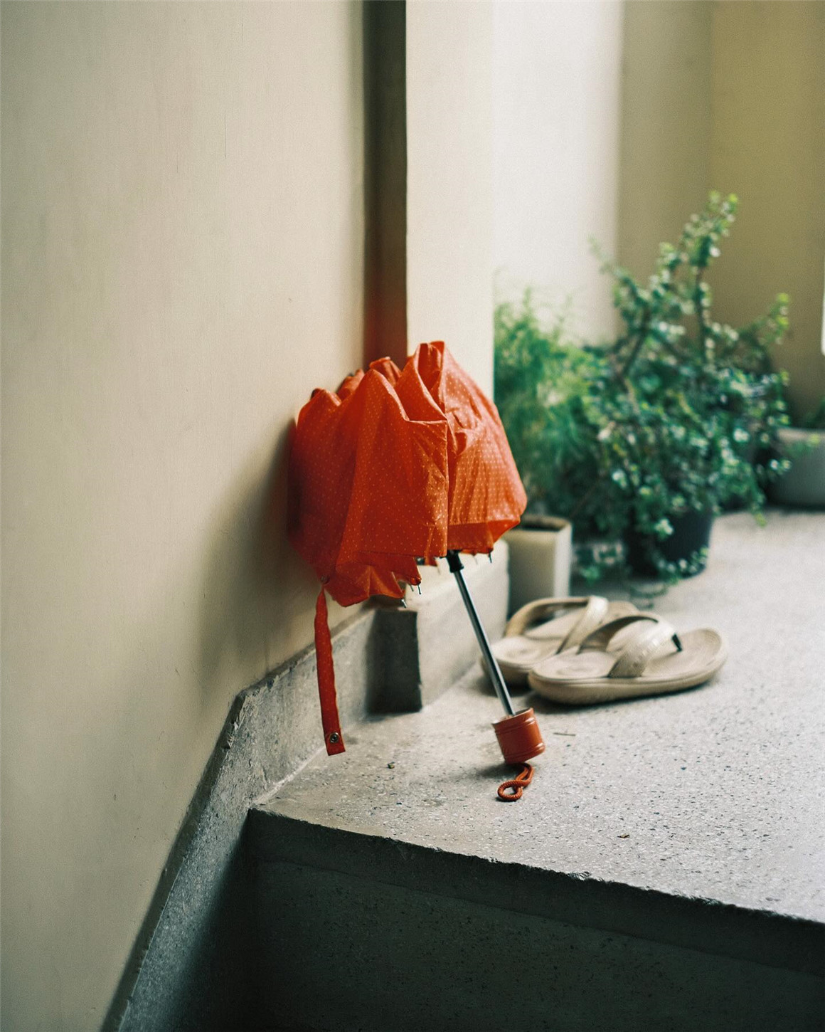 经典魅力一键式真实胶片电影美学怀旧色调胶片摄影Capture One飞思调色预设 ClassicFilm 2 Pro — Capture One Edition 插件预设 第26张-素材湾丨精选海外优质设计素材资源 经典魅力一键式真实胶片电影美学怀旧色调胶片摄影Capture One飞思调色预设 ClassicFilm 2 Pro — Capture One Edition 插件预设 sucaiwan.com