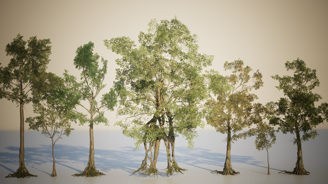 古典神秘失落森林深处建筑植被3D模型UE格式素材Deep in the Forest 样机素材 第9张-素材湾丨精选海外优质设计素材资源 古典神秘失落森林深处建筑植被3D模型UE格式素材Deep in the Forest 样机素材 sucaiwan.com