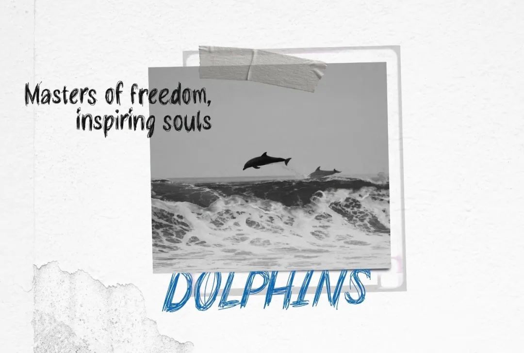 英文字体:复古邋遢涂鸦手绘风格炫酷潦草摇滚线条变体杂志封面字体包 RiotINK. Handwritten Scribble Font 设计素材 第6张-素材湾丨精选海外优质设计素材资源 英文字体:复古邋遢涂鸦手绘风格炫酷潦草摇滚线条变体杂志封面字体包 RiotINK. Handwritten Scribble Font 设计素材 sucaiwan.com