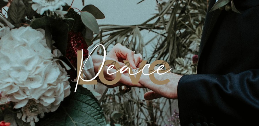 达芬奇预设:MotionVFX – mWedding DVR 简约梦幻优雅婚礼电影氛围视频叠加特效/婚礼时尚标题字幕动画排版/转场过渡预设插件 插件预设 第5张-素材湾丨精选海外优质设计素材资源 达芬奇预设:MotionVFX – mWedding DVR 简约梦幻优雅婚礼电影氛围视频叠加特效/婚礼时尚标题字幕动画排版/转场过渡预设插件 插件预设 sucaiwan.com