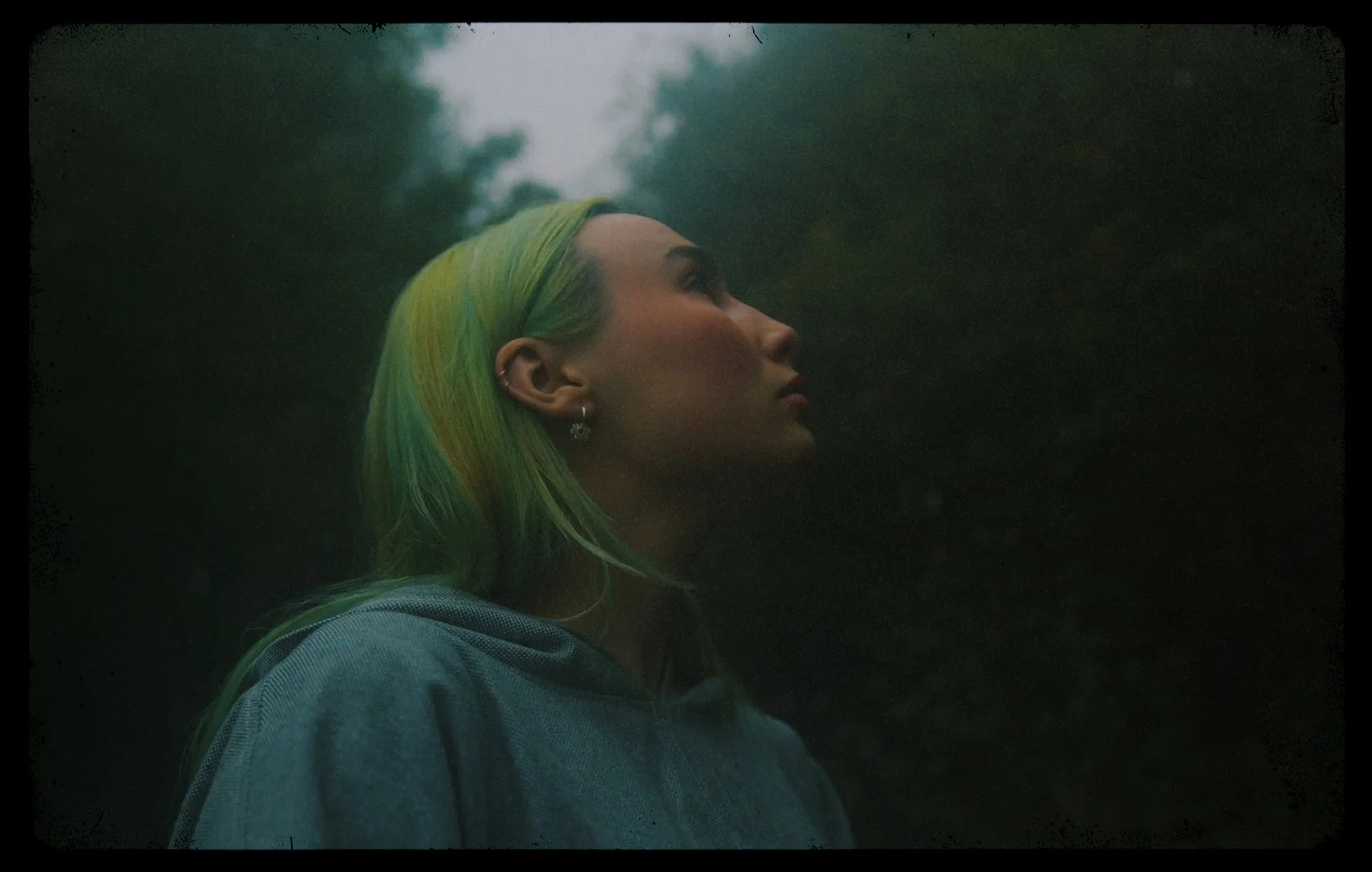 4K电影级真实复古胶片扫描柯达、富士、LUT、黑边、颗粒、框架视频素材 Pixflow - Film Emulation Pro 影视音频 第2张-素材湾丨精选海外优质设计素材资源 4K电影级真实复古胶片扫描柯达、富士、LUT、黑边、颗粒、框架视频素材 Pixflow - Film Emulation Pro 影视音频 sucaiwan.com