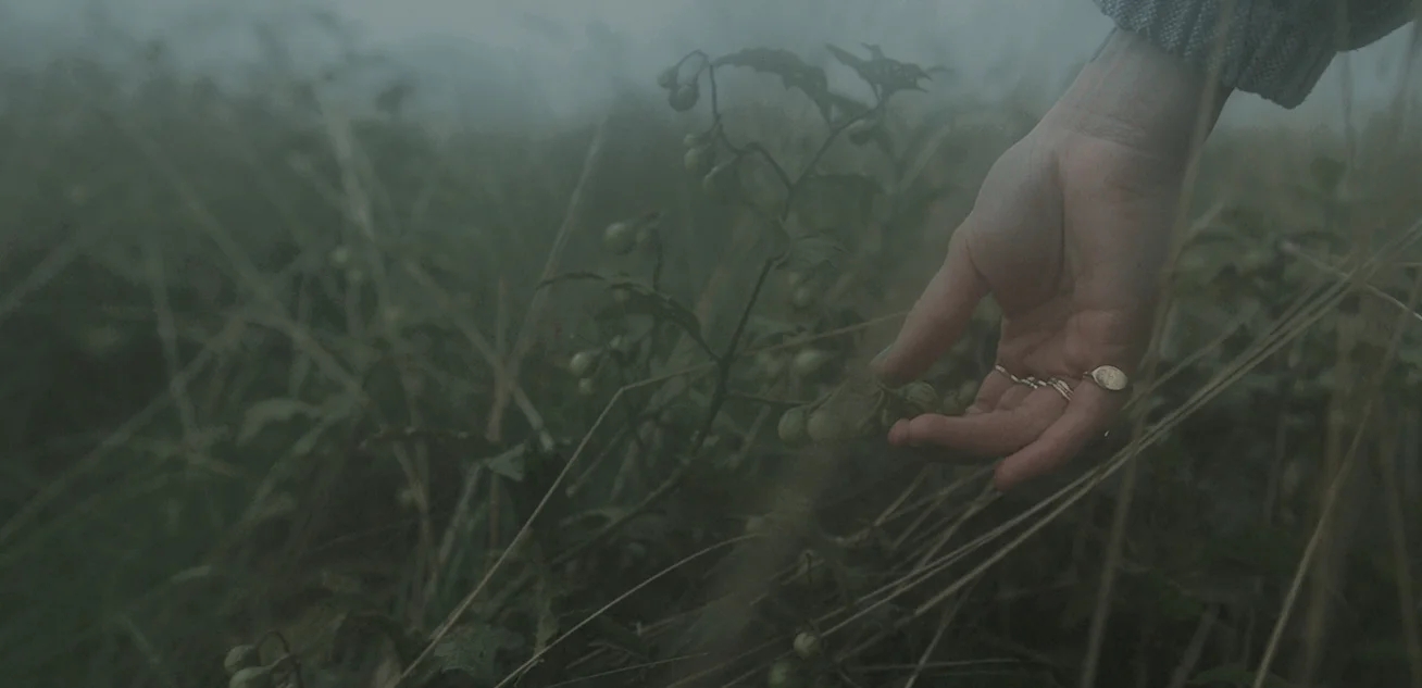 4K电影级真实复古胶片扫描柯达、富士、LUT、黑边、颗粒、框架视频素材 Pixflow - Film Emulation Pro 影视音频 第4张-素材湾丨精选海外优质设计素材资源 4K电影级真实复古胶片扫描柯达、富士、LUT、黑边、颗粒、框架视频素材 Pixflow - Film Emulation Pro 影视音频 sucaiwan.com