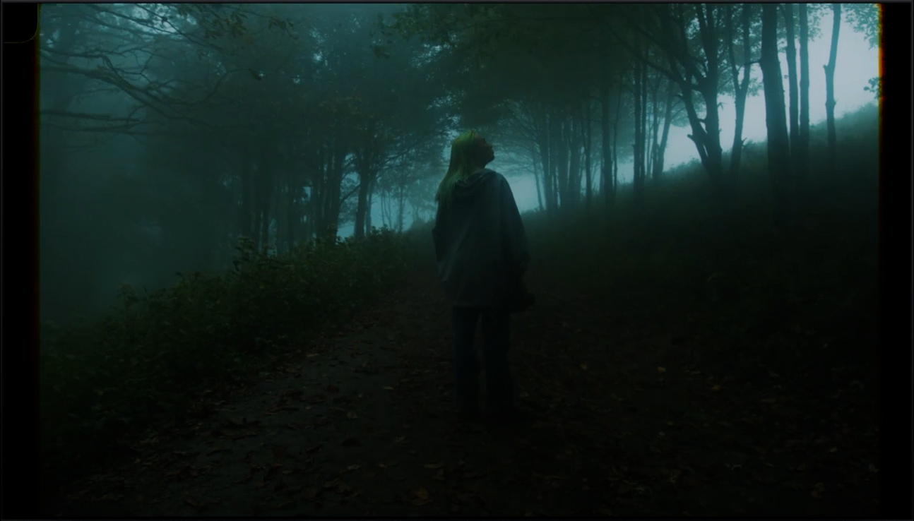 4K电影级真实复古胶片扫描柯达、富士、LUT、黑边、颗粒、框架视频素材 Pixflow - Film Emulation Pro 影视音频 第6张-素材湾丨精选海外优质设计素材资源 4K电影级真实复古胶片扫描柯达、富士、LUT、黑边、颗粒、框架视频素材 Pixflow - Film Emulation Pro 影视音频 sucaiwan.com