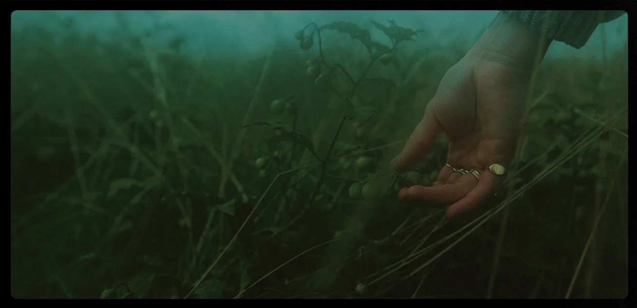 4K电影级真实复古胶片扫描柯达、富士、LUT、黑边、颗粒、框架视频素材 Pixflow - Film Emulation Pro 影视音频 第5张-素材湾丨精选海外优质设计素材资源 4K电影级真实复古胶片扫描柯达、富士、LUT、黑边、颗粒、框架视频素材 Pixflow - Film Emulation Pro 影视音频 sucaiwan.com