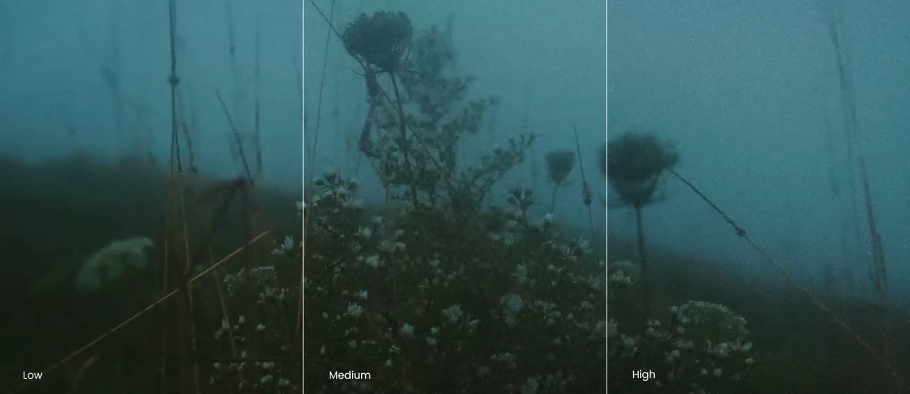 4K电影级真实复古胶片扫描柯达、富士、LUT、黑边、颗粒、框架视频素材 Pixflow - Film Emulation Pro 影视音频 第10张-素材湾丨精选海外优质设计素材资源 4K电影级真实复古胶片扫描柯达、富士、LUT、黑边、颗粒、框架视频素材 Pixflow - Film Emulation Pro 影视音频 sucaiwan.com