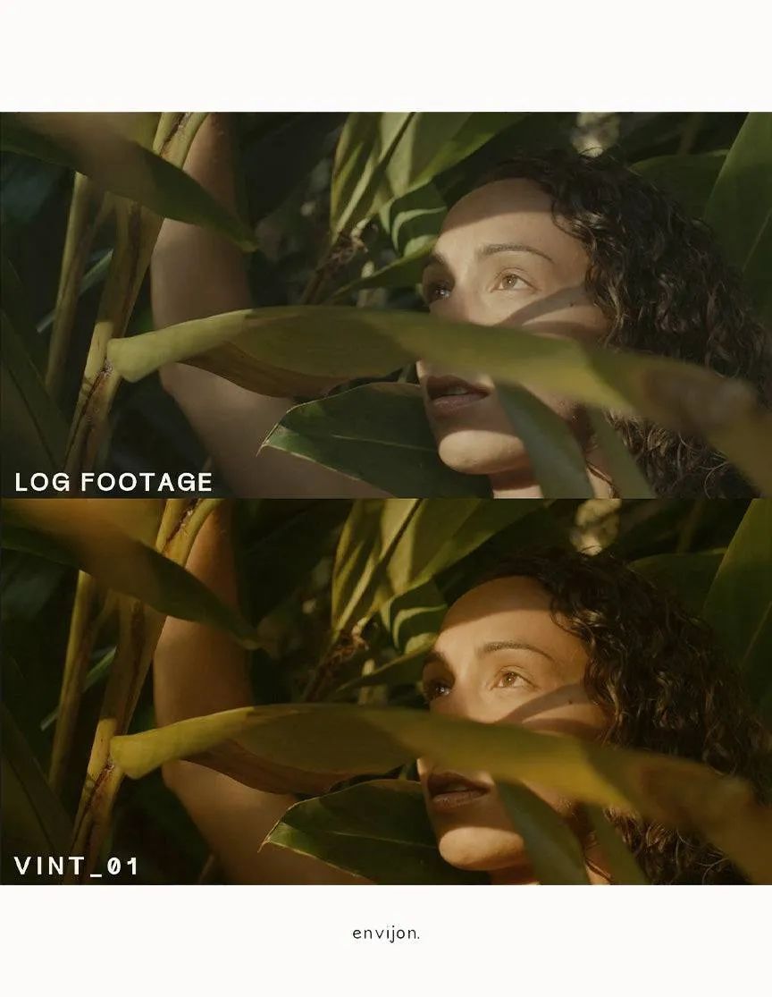 老式怀旧胶片色调风格化LUT调色预设 Envijon - Vintage Video LUTs 插件预设 第8张-素材湾丨精选海外优质设计素材资源 老式怀旧胶片色调风格化LUT调色预设 Envijon - Vintage Video LUTs 插件预设 sucaiwan.com