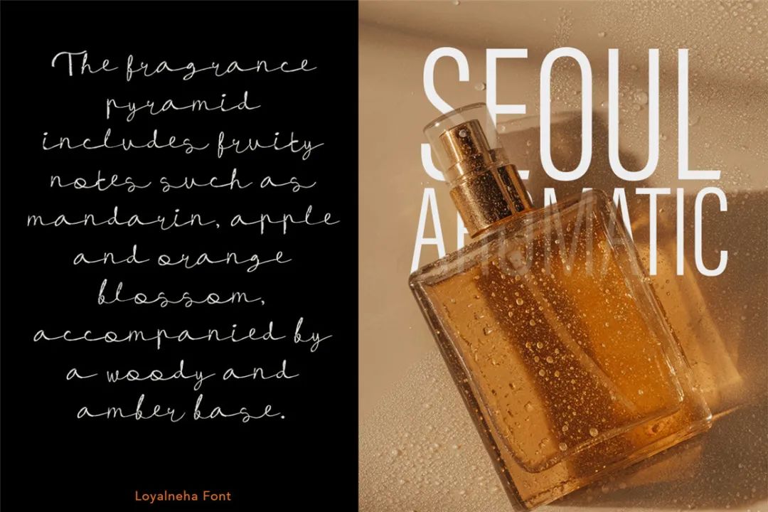 英文字体:现代流畅精致感手写连笔标题logo请柬排版字体 Loyalneha Brush Script , 第5张-素材湾丨精选海外优质设计素材资源 英文字体:现代流畅精致感手写连笔标题logo请柬排版字体 Loyalneha Brush Script , sucaiwan.com