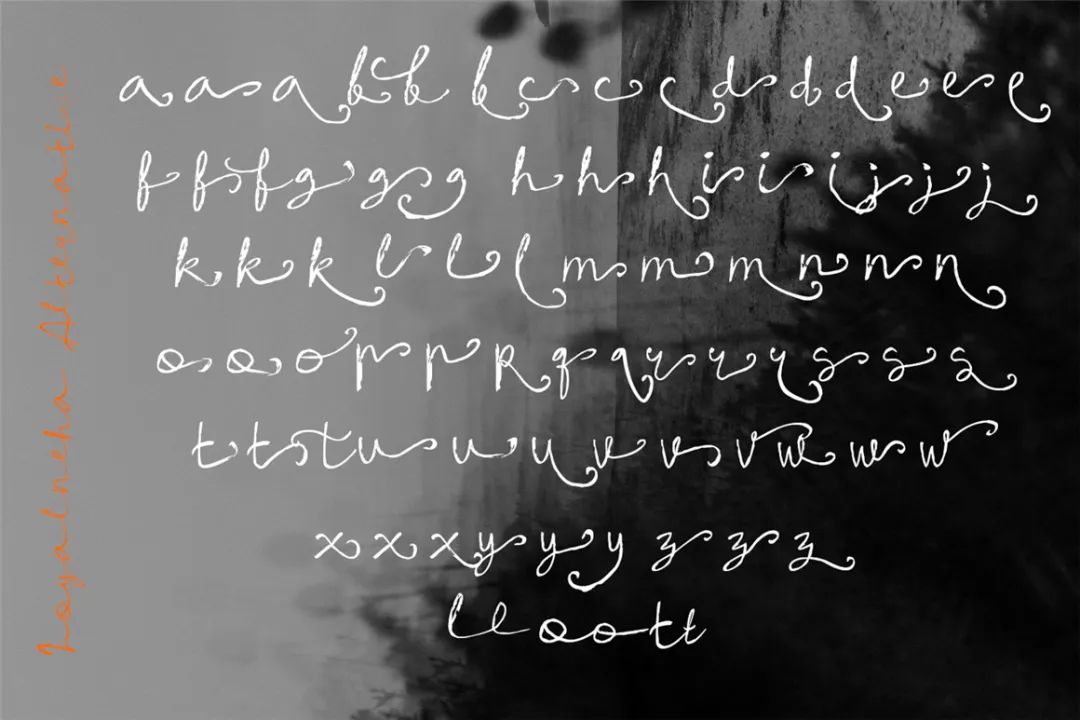 英文字体:现代流畅精致感手写连笔标题logo请柬排版字体 Loyalneha Brush Script , 第8张-素材湾丨精选海外优质设计素材资源 英文字体:现代流畅精致感手写连笔标题logo请柬排版字体 Loyalneha Brush Script , sucaiwan.com