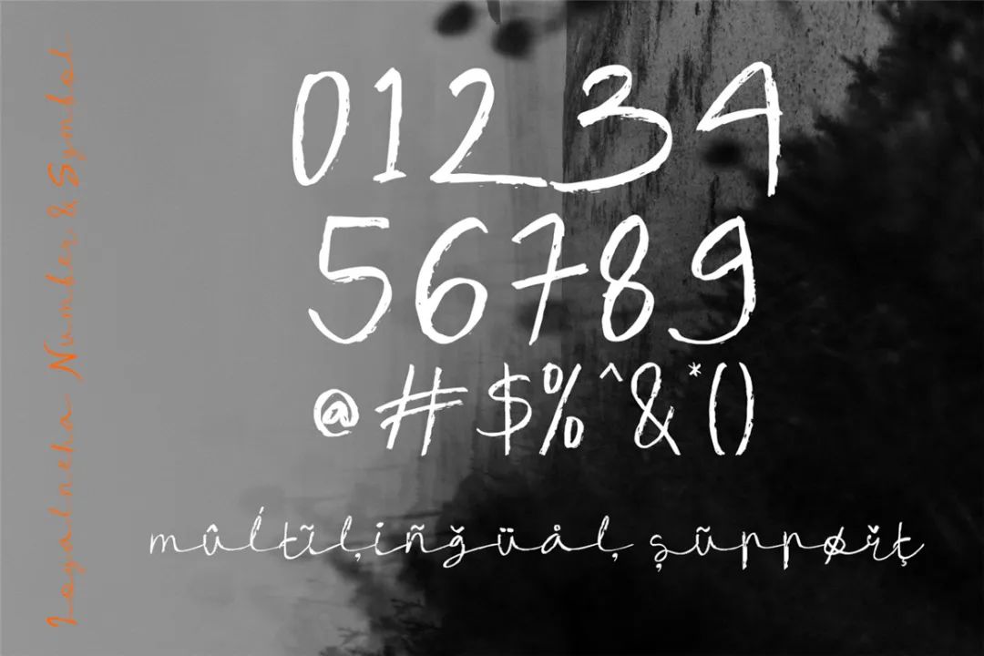 英文字体:现代流畅精致感手写连笔标题logo请柬排版字体 Loyalneha Brush Script , 第6张-素材湾丨精选海外优质设计素材资源 英文字体:现代流畅精致感手写连笔标题logo请柬排版字体 Loyalneha Brush Script , sucaiwan.com