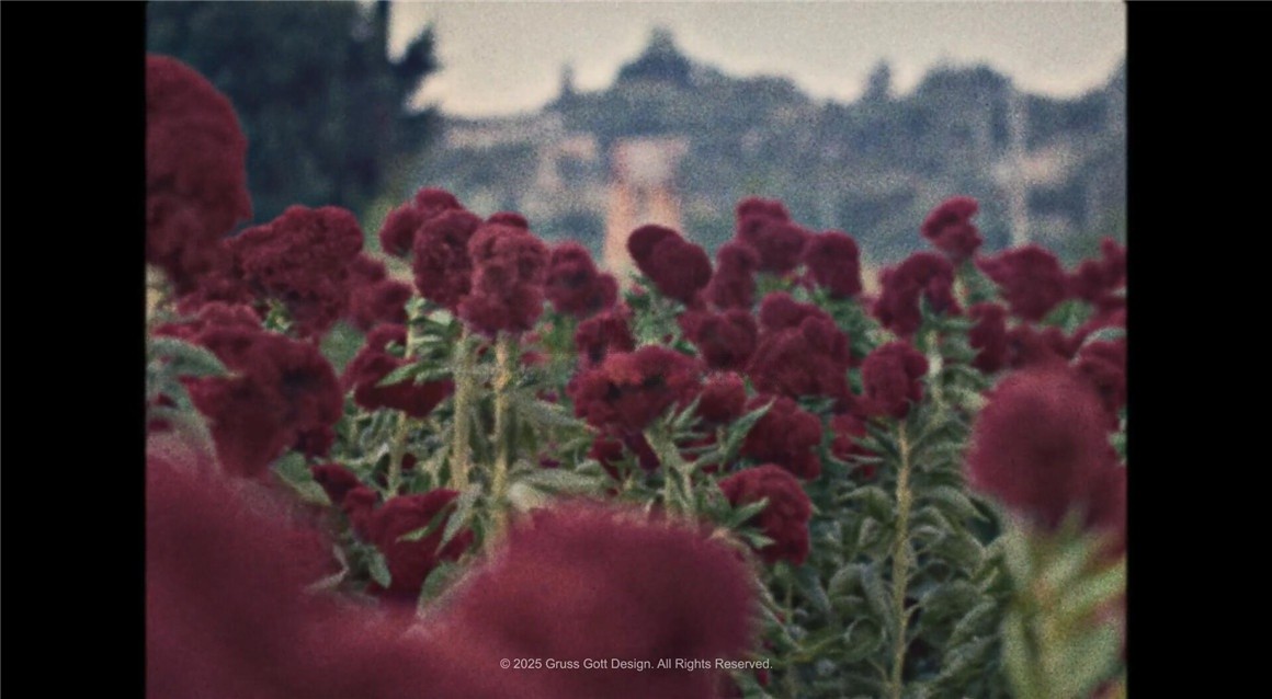 老式16毫米胶片电影美学颗粒帧抖动杂色音乐视频电影视觉效果AE模板 , 第5张-素材湾丨精选海外优质设计素材资源 老式16毫米胶片电影美学颗粒帧抖动杂色音乐视频电影视觉效果AE模板 , sucaiwan.com