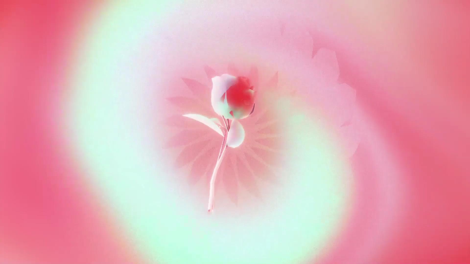 AE/PR/FCPX/达芬奇模板:10个浪漫情人节七夕立体趣味卡通3D爱心信封鲜花转场模板 , 第5张-素材湾丨精选海外优质设计素材资源 AE/PR/FCPX/达芬奇模板:10个浪漫情人节七夕立体趣味卡通3D爱心信封鲜花转场模板 , sucaiwan.com