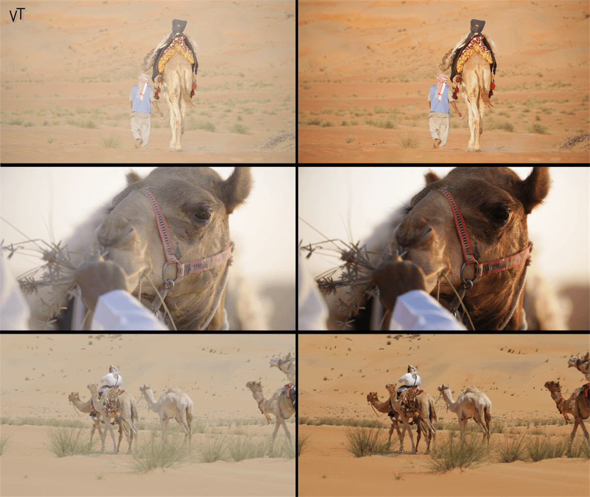 孟加拉国短片 探索-电影旅拍短片LUT调色预设 Visual Tone - EXPLORE | Cinematic Travel LUTs 插件预设 第8张-素材湾丨精选海外优质设计素材资源 孟加拉国短片 探索-电影旅拍短片LUT调色预设 Visual Tone - EXPLORE | Cinematic Travel LUTs 插件预设 sucaiwan.com