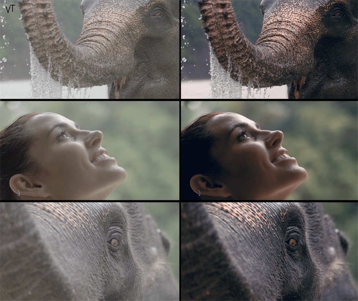 孟加拉国短片 探索-电影旅拍短片LUT调色预设 Visual Tone - EXPLORE | Cinematic Travel LUTs 插件预设 第11张-素材湾丨精选海外优质设计素材资源 孟加拉国短片 探索-电影旅拍短片LUT调色预设 Visual Tone - EXPLORE | Cinematic Travel LUTs 插件预设 sucaiwan.com