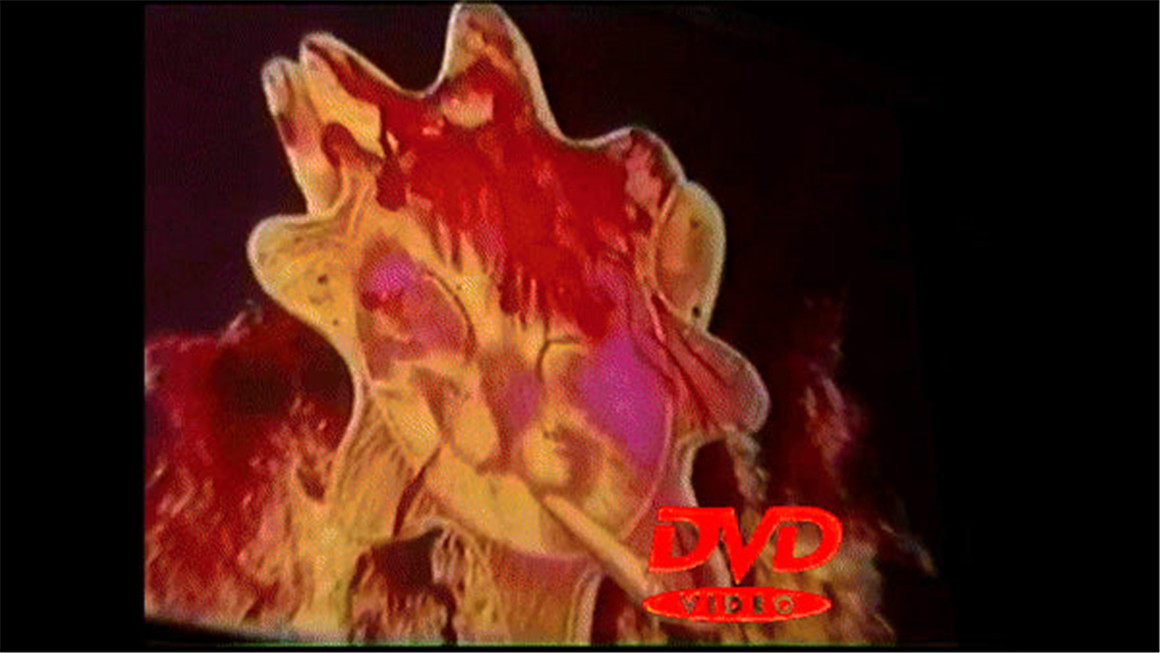 复古嘻哈Y2K风格前卫迷幻混乱刺激视觉音乐广告MOV+PNG元素效果包 TINY TAPES GEEK FX PACK , 第6张-素材湾丨精选海外优质设计素材资源 复古嘻哈Y2K风格前卫迷幻混乱刺激视觉音乐广告MOV+PNG元素效果包 TINY TAPES GEEK FX PACK , sucaiwan.com