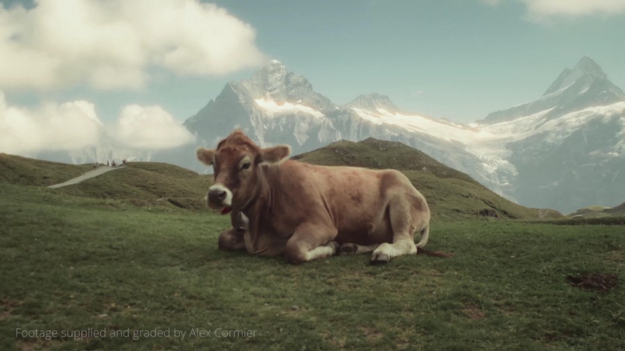 FCPX插件:复古梦幻胶片光晕薄膜晕轮胶片电影美感效果插件 FILMCONVERT – HALATION 1.01 , 第14张-素材湾丨精选海外优质设计素材资源 FCPX插件:复古梦幻胶片光晕薄膜晕轮胶片电影美感效果插件 FILMCONVERT – HALATION 1.01 , sucaiwan.com