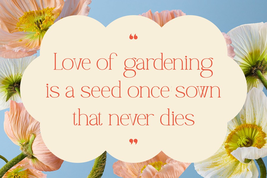 时尚优雅杂志包装邀请函设计衬线英文字体安装包 Gardening – An Elegant Serif Font with a Natural 设计素材 第2张-素材湾丨精选海外优质设计素材资源 时尚优雅杂志包装邀请函设计衬线英文字体安装包 Gardening – An Elegant Serif Font with a Natural 设计素材 sucaiwan.com