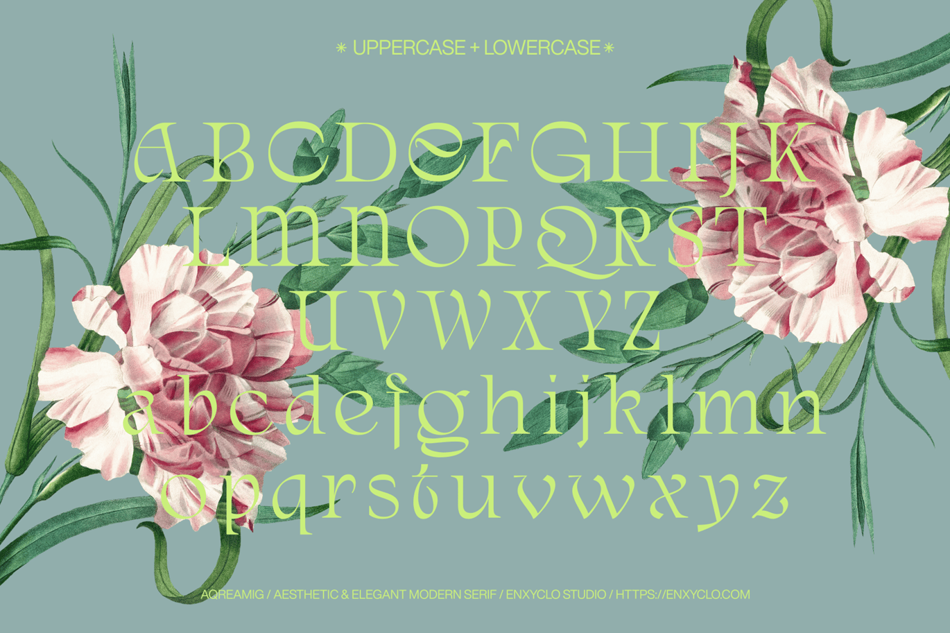 现代复古杂志海报网站徽标设计衬线英文字体安装包 Aqreamig – Modern Elegant Luxury Ligature Serif 设计素材 第5张-素材湾丨精选海外优质设计素材资源 现代复古杂志海报网站徽标设计衬线英文字体安装包 Aqreamig – Modern Elegant Luxury Ligature Serif 设计素材 sucaiwan.com