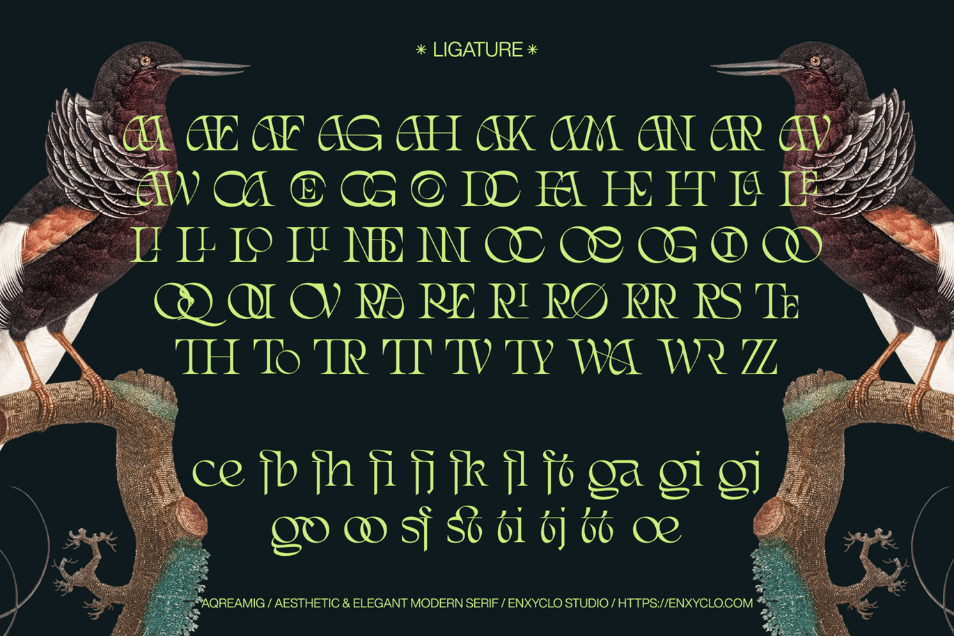 现代复古杂志海报网站徽标设计衬线英文字体安装包 Aqreamig – Modern Elegant Luxury Ligature Serif 设计素材 第11张-素材湾丨精选海外优质设计素材资源 现代复古杂志海报网站徽标设计衬线英文字体安装包 Aqreamig – Modern Elegant Luxury Ligature Serif 设计素材 sucaiwan.com