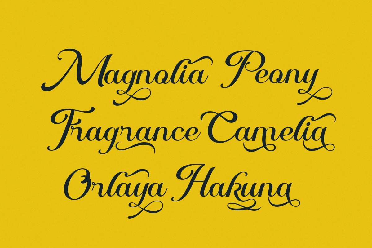 现代优雅品牌杂志海报设计手写英文字体安装包 Melaghio – Elegant Modern Script 设计素材 第3张-素材湾丨精选海外优质设计素材资源 现代优雅品牌杂志海报设计手写英文字体安装包 Melaghio – Elegant Modern Script 设计素材 sucaiwan.com