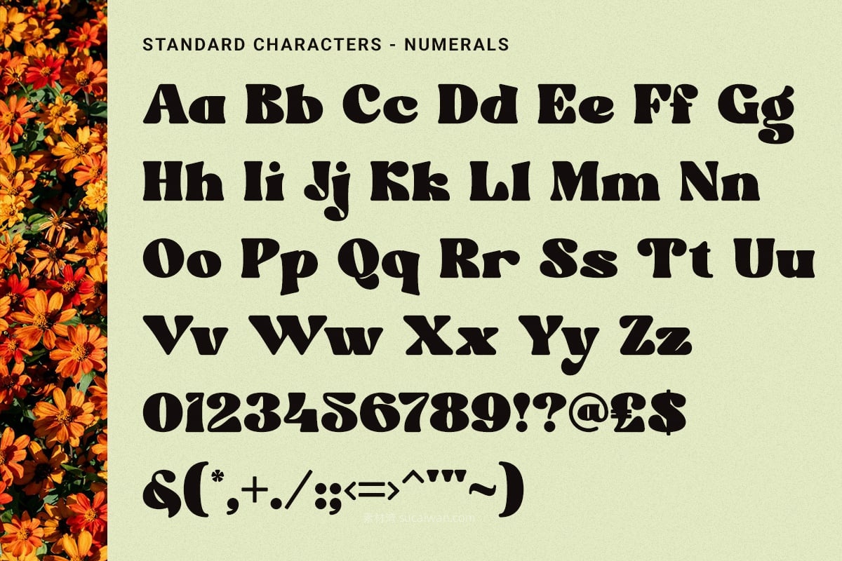 现代复古品牌海报徽标设计装饰英文字体安装包 Velocity – Dynamic Retro Display Font 样机素材 第7张-素材湾丨精选海外优质设计素材资源 现代复古品牌海报徽标设计装饰英文字体安装包 Velocity – Dynamic Retro Display Font 样机素材 sucaiwan.com