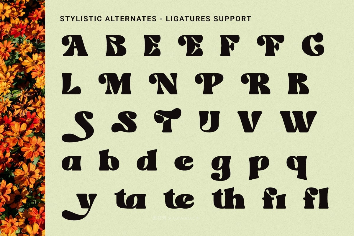 现代复古品牌海报徽标设计装饰英文字体安装包 Velocity – Dynamic Retro Display Font 样机素材 第9张-素材湾丨精选海外优质设计素材资源 现代复古品牌海报徽标设计装饰英文字体安装包 Velocity – Dynamic Retro Display Font 样机素材 sucaiwan.com