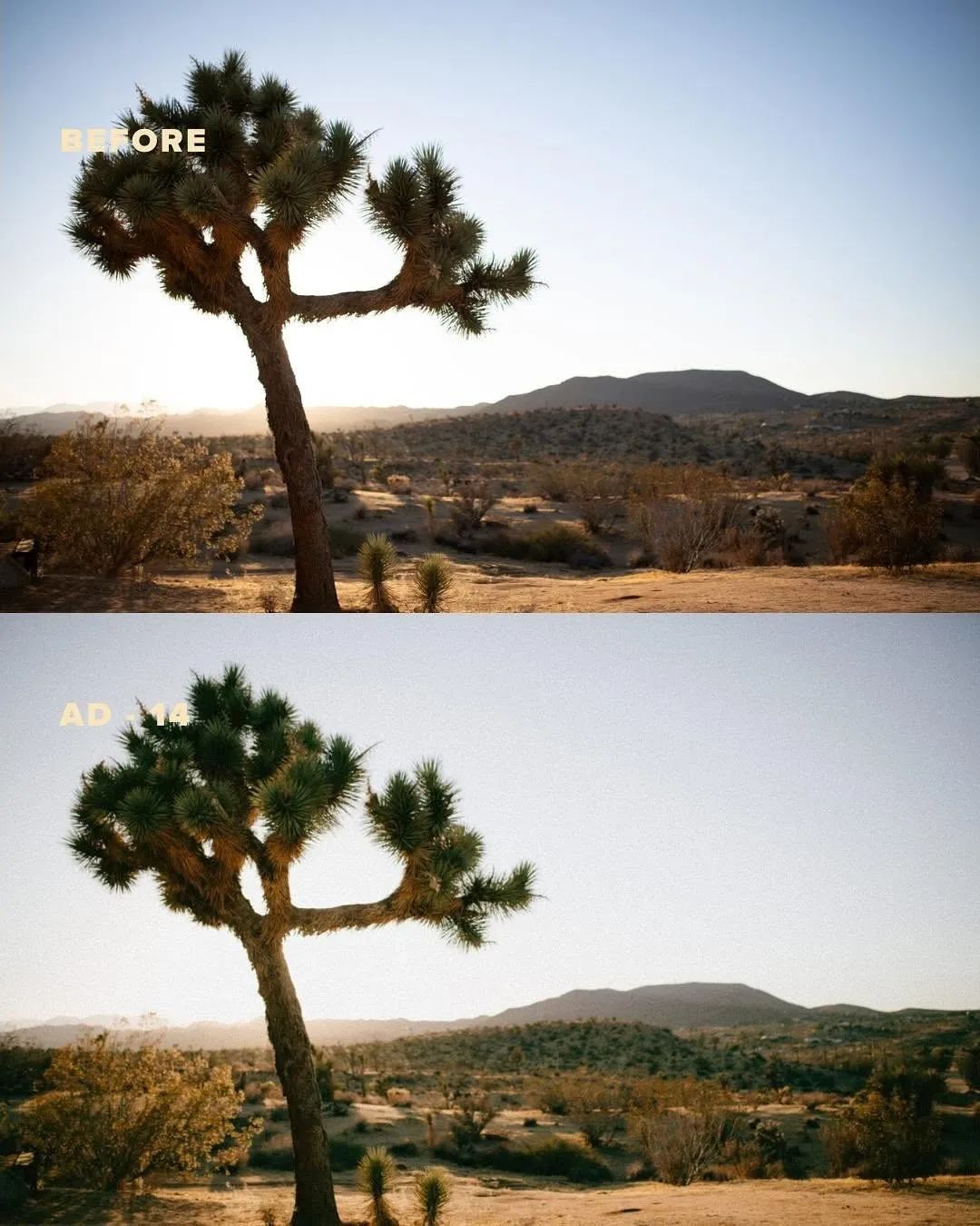 经典电影美学一次性相机外观模拟感Lightroom调色预设 G-Presets - Analog Days , 第6张-素材湾丨精选海外优质设计素材资源 经典电影美学一次性相机外观模拟感Lightroom调色预设 G-Presets - Analog Days , sucaiwan.com