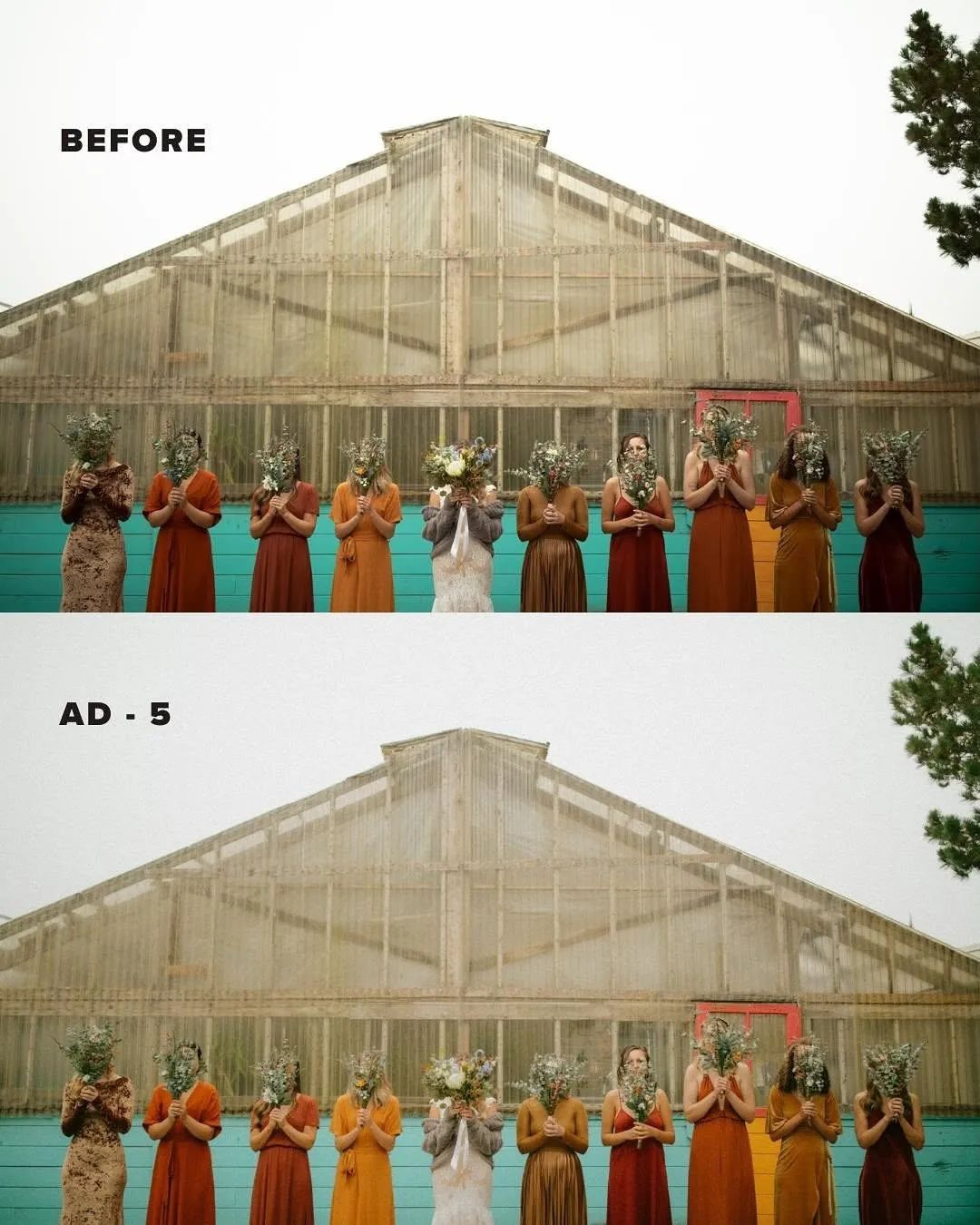 经典电影美学一次性相机外观模拟感Lightroom调色预设 G-Presets - Analog Days , 第15张-素材湾丨精选海外优质设计素材资源 经典电影美学一次性相机外观模拟感Lightroom调色预设 G-Presets - Analog Days , sucaiwan.com