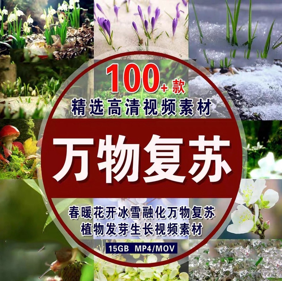 春暖花开冰雪融化地面积雪融化万物复苏植物发芽生长开花视频素材 , sucaiwan.com