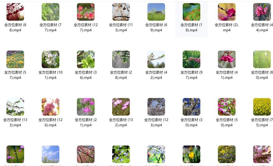 春暖花开冰雪融化地面积雪融化万物复苏植物发芽生长开花视频素材 , sucaiwan.com