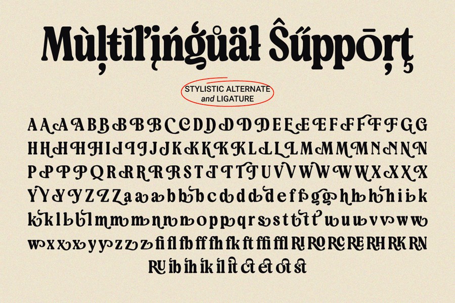 英文字体:90年代复古怀旧现代品牌海报包装徽标设计经典衬线字体 Bringbold Nineties – Serif Font 设计素材 第13张-素材湾丨精选海外优质设计素材资源 英文字体:90年代复古怀旧现代品牌海报包装徽标设计经典衬线字体 Bringbold Nineties – Serif Font 设计素材 sucaiwan.com