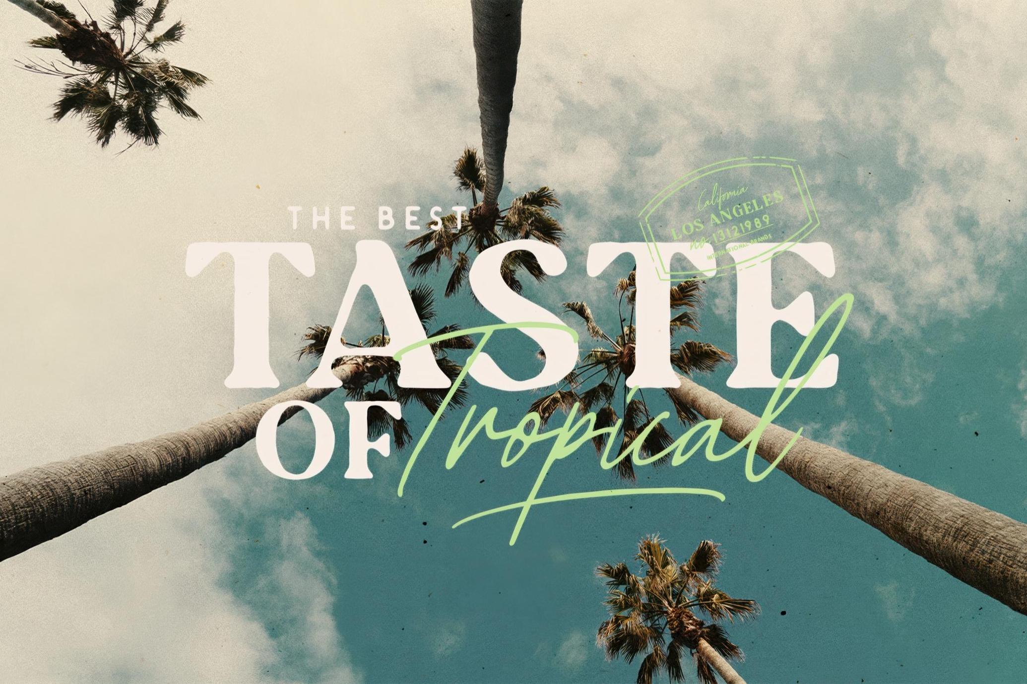 优雅品牌包装徽标设计衬线英文字体安装包 Tropica Gardens — Font Trio 设计素材 第2张-素材湾丨精选海外优质设计素材资源 优雅品牌包装徽标设计衬线英文字体安装包 Tropica Gardens — Font Trio 设计素材 sucaiwan.com