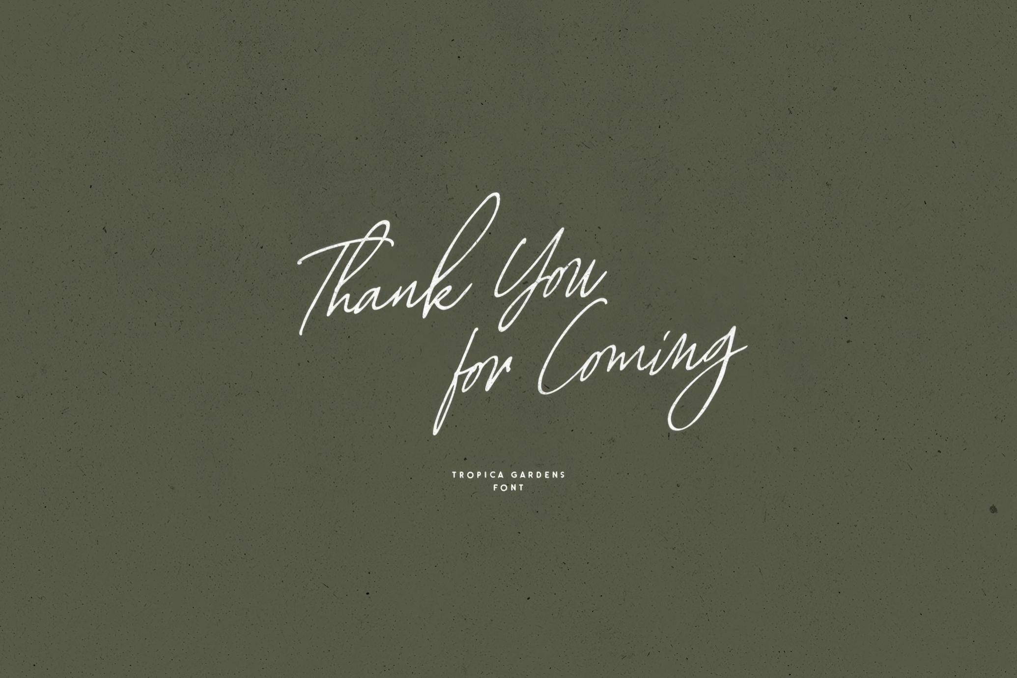 优雅品牌包装徽标设计衬线英文字体安装包 Tropica Gardens — Font Trio 设计素材 第9张-素材湾丨精选海外优质设计素材资源 优雅品牌包装徽标设计衬线英文字体安装包 Tropica Gardens — Font Trio 设计素材 sucaiwan.com