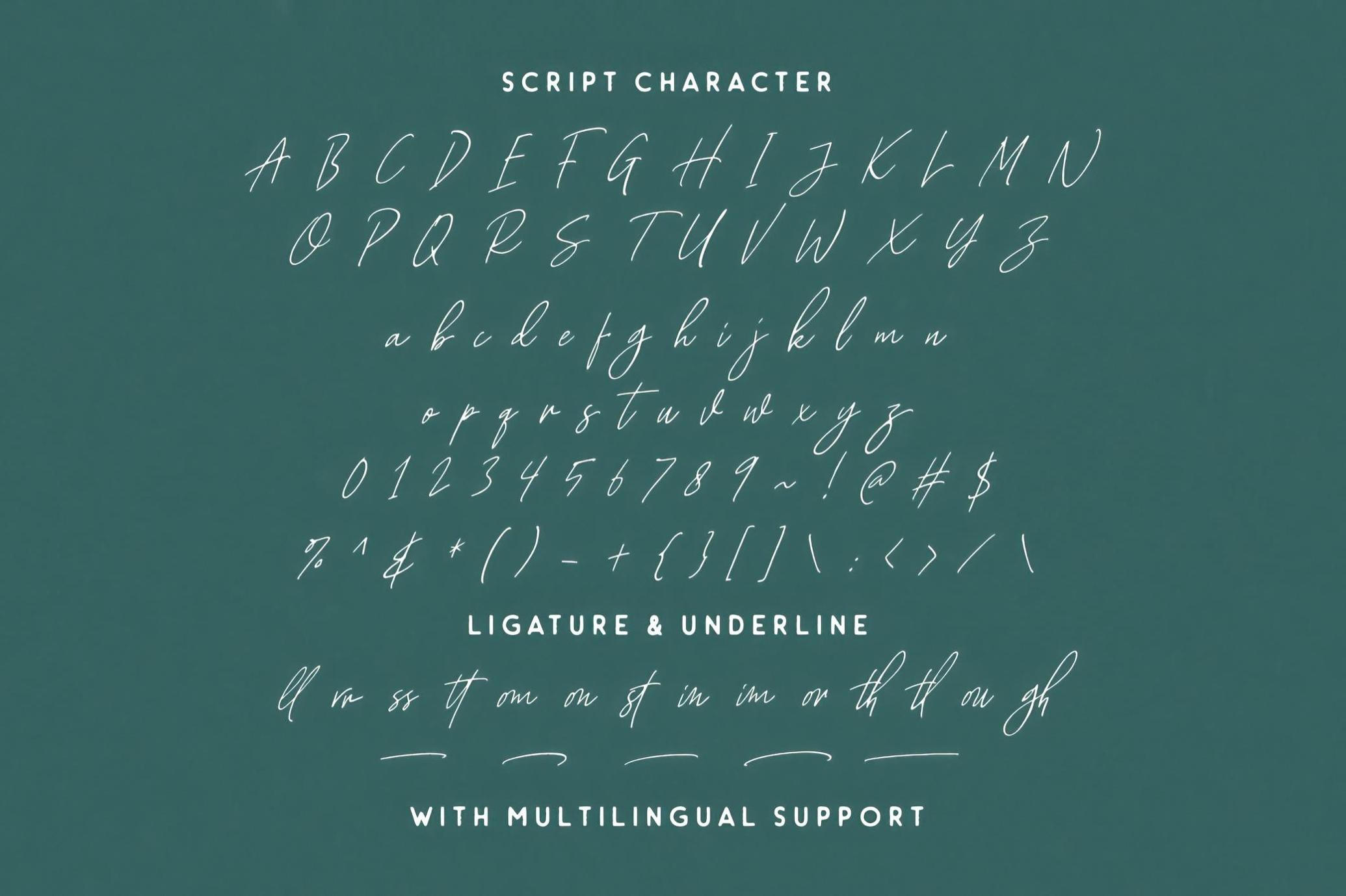 优雅品牌包装徽标设计衬线英文字体安装包 Tropica Gardens — Font Trio 设计素材 第11张-素材湾丨精选海外优质设计素材资源 优雅品牌包装徽标设计衬线英文字体安装包 Tropica Gardens — Font Trio 设计素材 sucaiwan.com