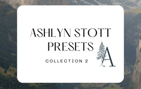 LR预设:全新纪实感情绪氛围婚礼人像摄影Lightroom调色预设 Ashlyn Stott Presets ~ Collection 2
