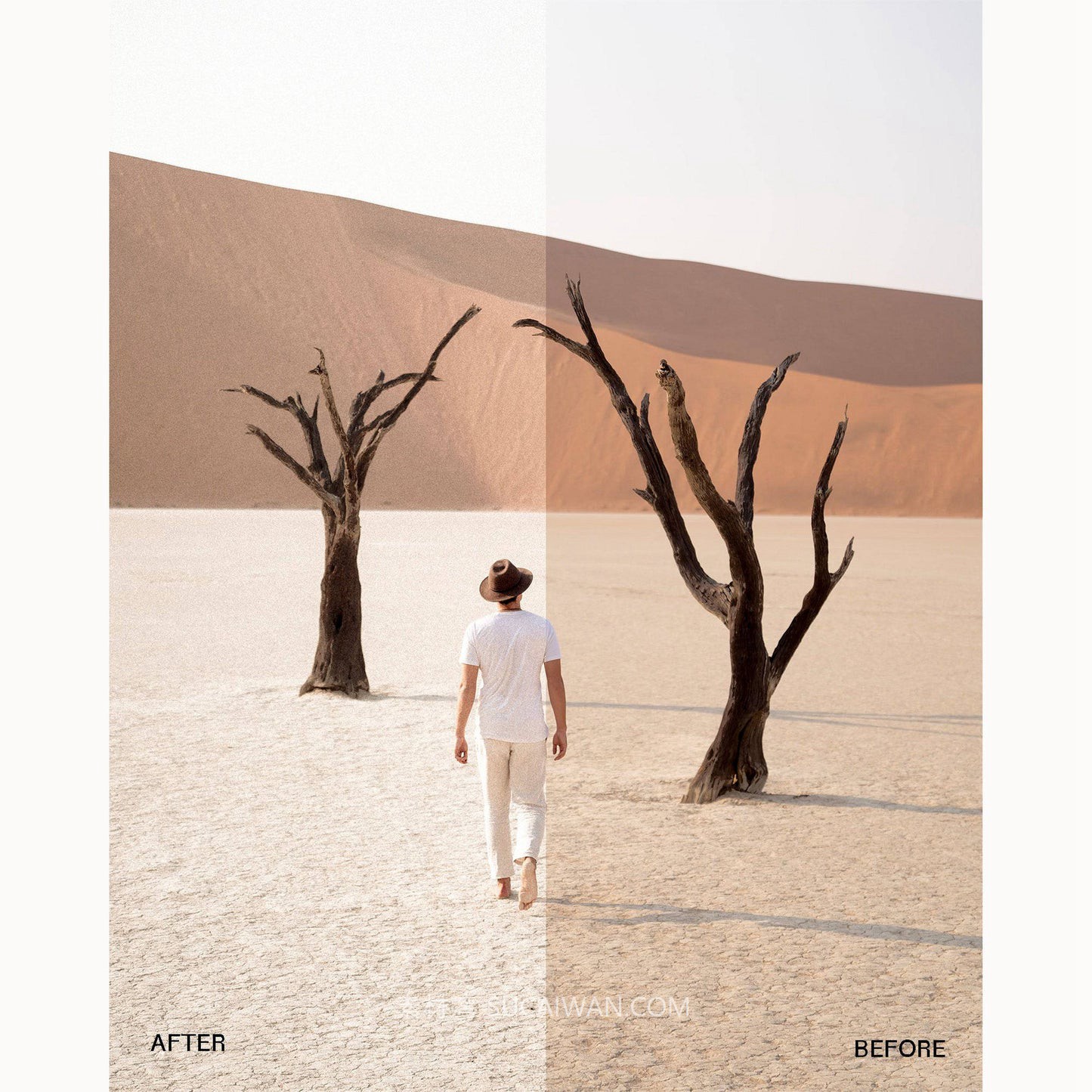 永恒复古柔和胶片颗粒锐化旅拍Vlog视频调色滤镜LUT预设envijon – Modern Classic Mobile Photo Filters 插件预设 第3张-素材湾丨精选海外优质设计素材资源 永恒复古柔和胶片颗粒锐化旅拍Vlog视频调色滤镜LUT预设envijon – Modern Classic Mobile Photo Filters 插件预设 sucaiwan.com