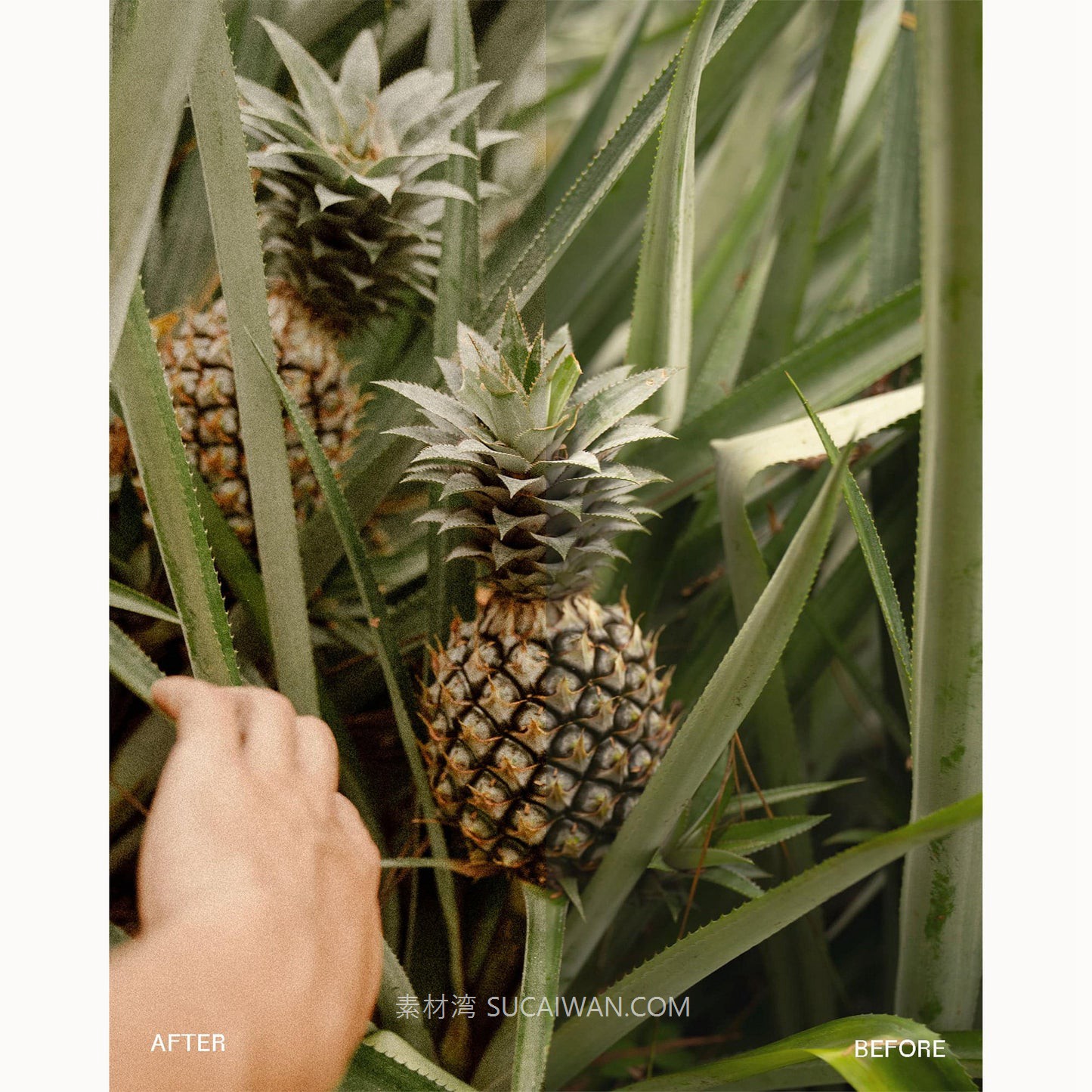 永恒复古柔和胶片颗粒锐化旅拍Vlog视频调色滤镜LUT预设envijon – Modern Classic Mobile Photo Filters 插件预设 第8张-素材湾丨精选海外优质设计素材资源 永恒复古柔和胶片颗粒锐化旅拍Vlog视频调色滤镜LUT预设envijon – Modern Classic Mobile Photo Filters 插件预设 sucaiwan.com