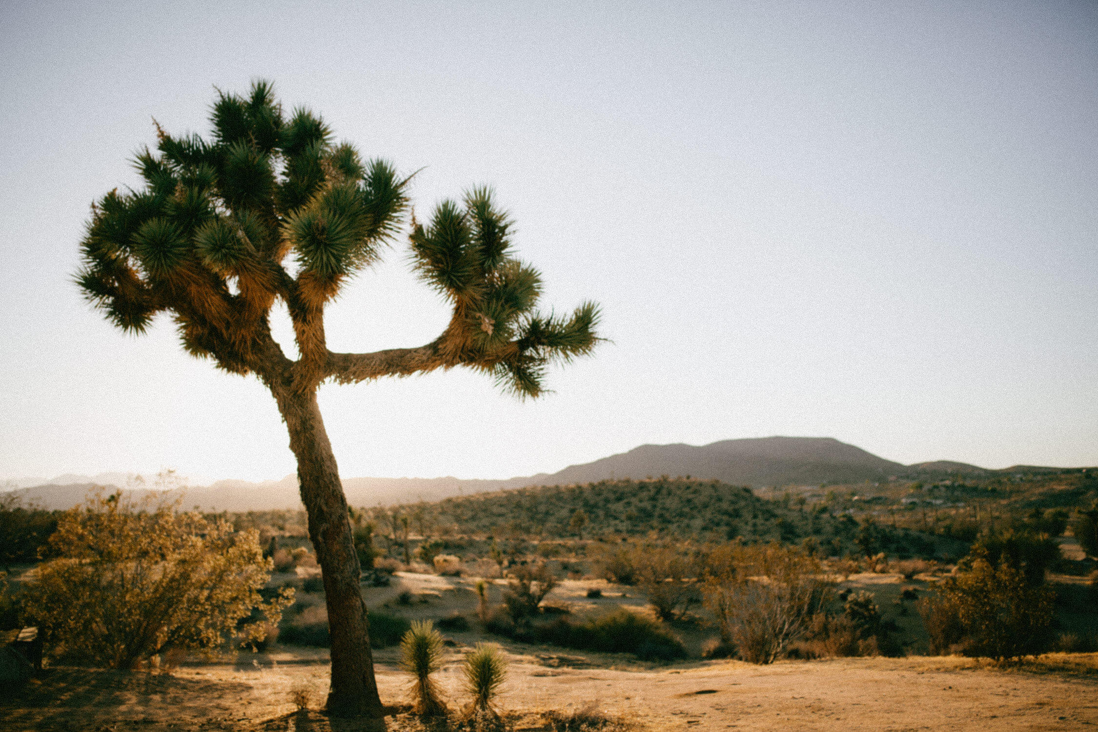 20个复古怀旧经典美学胶片鲜艳浓郁人文扫街风光摄影后期电脑端手机端LR预设 G-Presets - Analog Days , 第9张-素材湾丨精选海外优质设计素材资源 20个复古怀旧经典美学胶片鲜艳浓郁人文扫街风光摄影后期电脑端手机端LR预设 G-Presets - Analog Days , sucaiwan.com