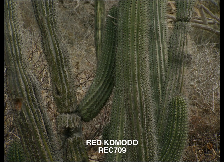 Bolex H16 Powergrade - 16mm film look 独特复古真实胶片扫描16MM胶片模拟电影感风格化、商业短片长片、风光、人像、旅拍、纪录片、达芬奇节点调色预设 , sucaiwan.com