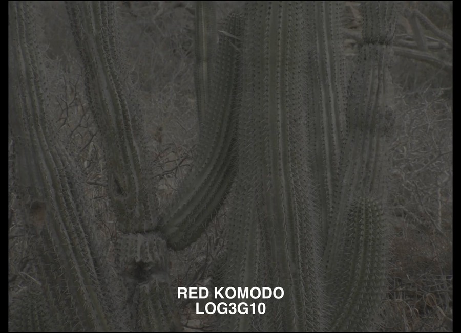 Bolex H16 Powergrade - 16mm film look 独特复古真实胶片扫描16MM胶片模拟电影感风格化、商业短片长片、风光、人像、旅拍、纪录片、达芬奇节点调色预设 , sucaiwan.com