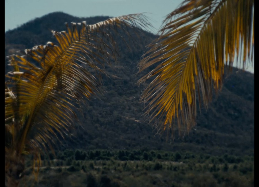 Bolex H16 Powergrade - 16mm film look 独特复古真实胶片扫描16MM胶片模拟电影感风格化、商业短片长片、风光、人像、旅拍、纪录片、达芬奇节点调色预设 , sucaiwan.com