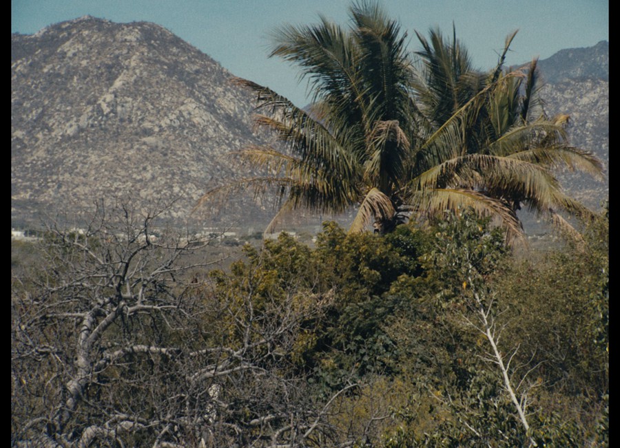 Bolex H16 Powergrade - 16mm film look 独特复古真实胶片扫描16MM胶片模拟电影感风格化、商业短片长片、风光、人像、旅拍、纪录片、达芬奇节点调色预设 , sucaiwan.com