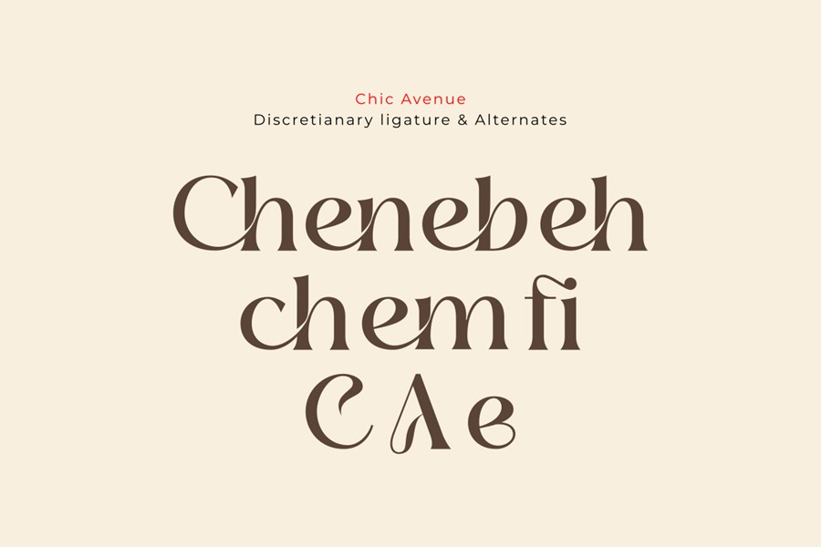 现代优雅品牌邀请函徽标设计衬线英文字体安装包 Chic Avenue Beautiful Serif Font 设计素材 第15张-素材湾丨精选海外优质设计素材资源 现代优雅品牌邀请函徽标设计衬线英文字体安装包 Chic Avenue Beautiful Serif Font 设计素材 sucaiwan.com