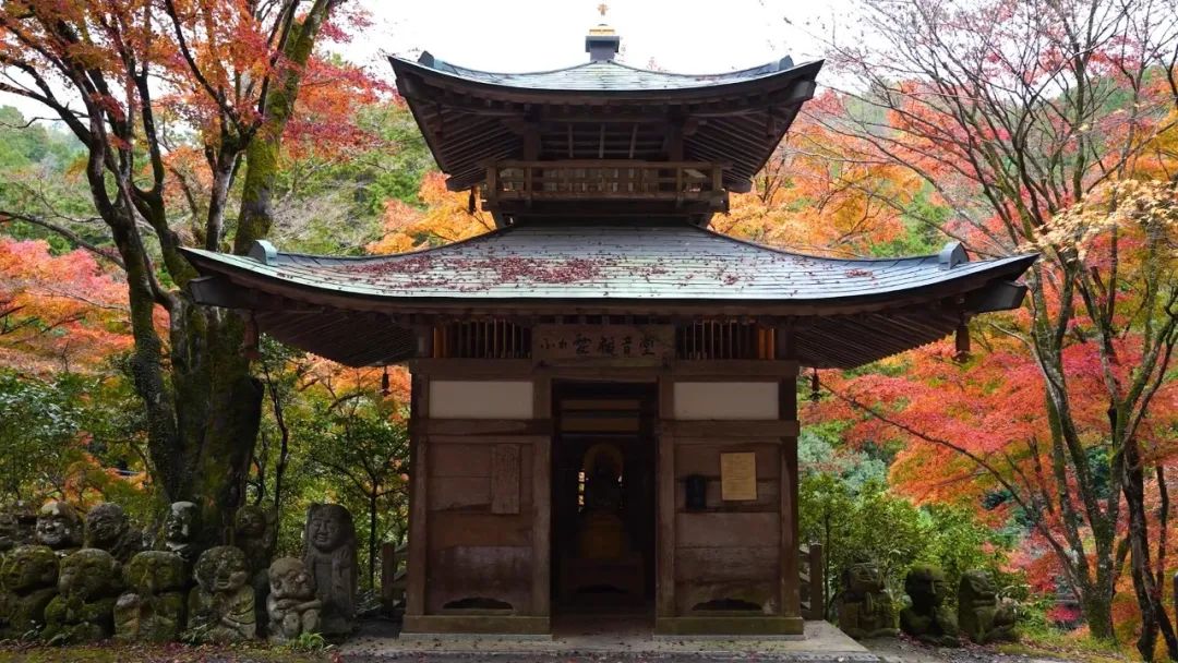 大师课程:穿越日本专业级人文风景摄影视频课程 Fstoppers - Photographing the World 6 - Japan II , 第4张-素材湾丨精选海外优质设计素材资源 大师课程:穿越日本专业级人文风景摄影视频课程 Fstoppers - Photographing the World 6 - Japan II , sucaiwan.com