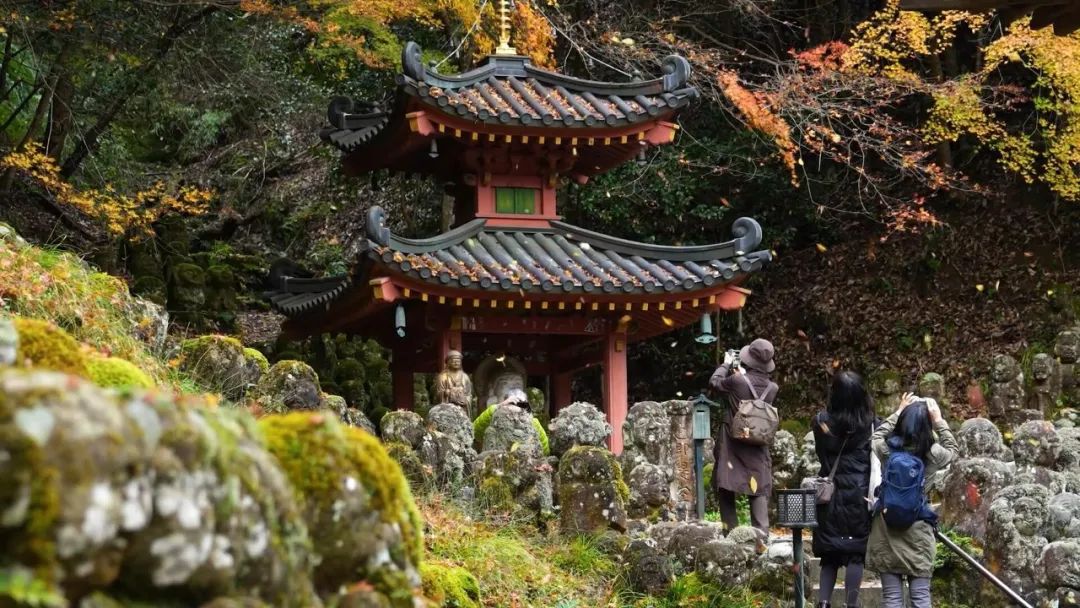 大师课程:穿越日本专业级人文风景摄影视频课程 Fstoppers - Photographing the World 6 - Japan II , 第5张-素材湾丨精选海外优质设计素材资源 大师课程:穿越日本专业级人文风景摄影视频课程 Fstoppers - Photographing the World 6 - Japan II , sucaiwan.com